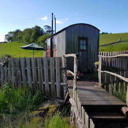 Eco Accommodation Cornflower Крейвен-Армс Экстерьер фото